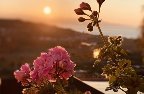 Santa Teresa di Riva Villa | Panoramic Villa, surrounded by greenery with private swimming pool