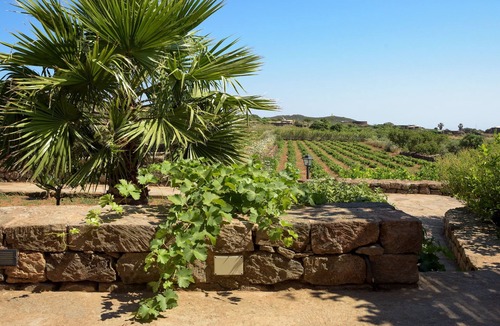 Pantelleria House | [Private Pool + Sea View + Garden + Barbecue] Entire "Dammuso" Estate
