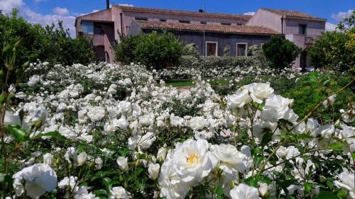Archi Hotel | Ramo d'Aria Etna Boutique Hotel