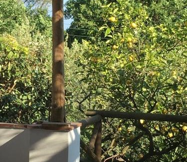 Anacapri House | Relais Villa Anna
