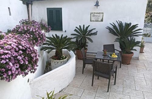 San Pietro Apartment | RELAX MARGHERITA