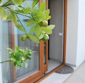 Cibali Apartment | Residence Rapisardi by RECEPTIO