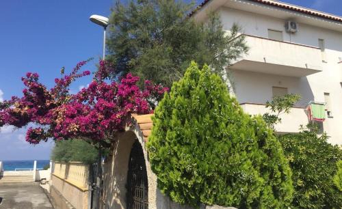 Campora San Giovanni House | Rivamare Campora Casa Vacanze