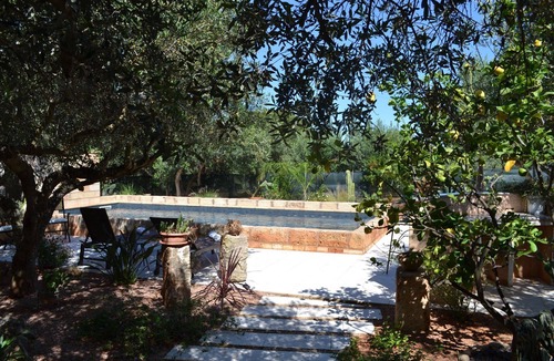 Castelluzzo Villa | Scent Olive Retreat - Olive Retreat
