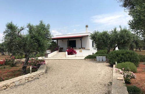 Patu Villa | Sea view villa set in a sea of ?. olive