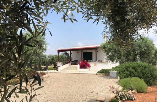 Patu Villa | Sea view villa set in a sea of ?. olive