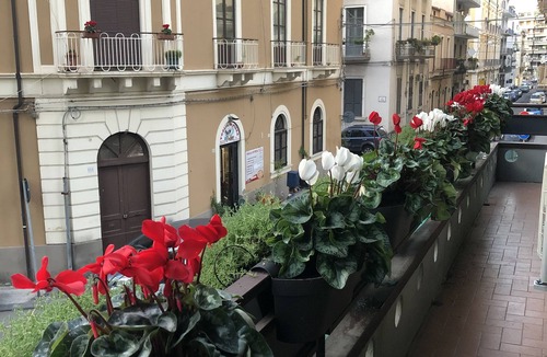 Picanello-Ognina-Barriera-Canalicchio Apartment | Sicily4Suite Catania - Charme in Sicily Etna