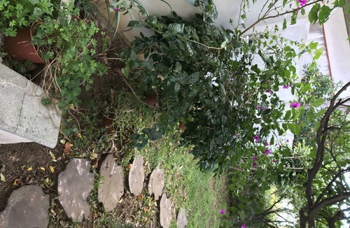 Villa San Giovanni Villa | single house with garden in Villa San Giovanni (RC) in front of Messina strait