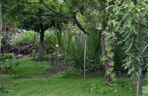 Macchia House | Single house with large yard and beautiful giar