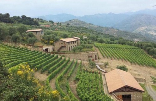 Camporosso House | Stone farmhouses among olives and vines