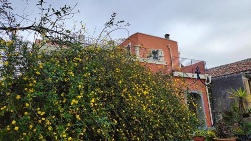 Zafferana Etnea Villa | Tenuta Arcidiacono - Etna, Wine, Country & Relax