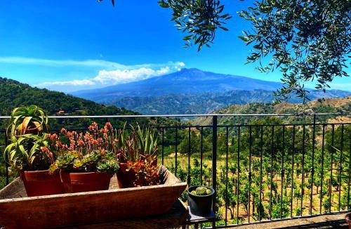 Castelmola Apartment | Tenuta Guardavaglia