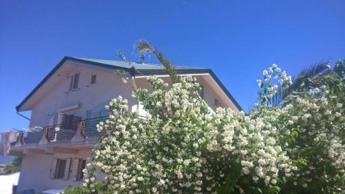 Carolei Bed & Breakfast | Tetto Verde