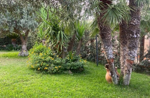 Piana Calzata Apartment | The garden of Seba, a splendid detached villa surrounded by greenery