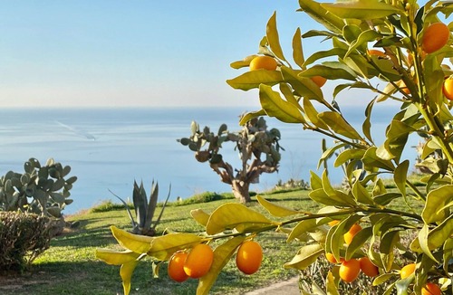 Parghelia Apartment | The garden with a view of Tropea