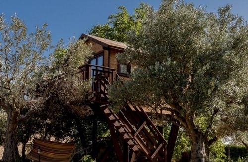 Marano Marchesato House | The "Olive Treehouse"