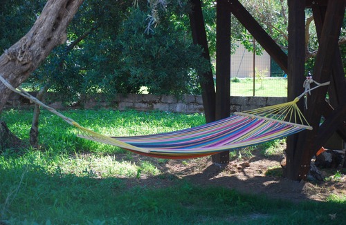 Marano Marchesato House | The "Olive Treehouse"