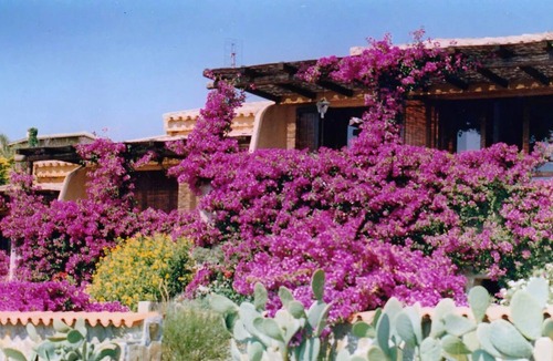 Villaggio Piras Villa | THE TERRACE ON THE SEA panoramic villa overlooking the sea