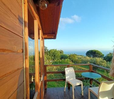 Falerna Bed & Breakfast | The Treehouse - Casa sull'albero al Golden Camp