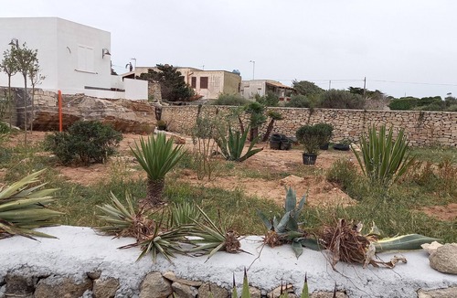 Favignana House | Tramontana