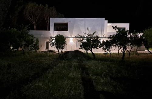 Paestum House | Villa Agapanto