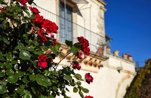 Ragusa Villa | Villa Cammarana