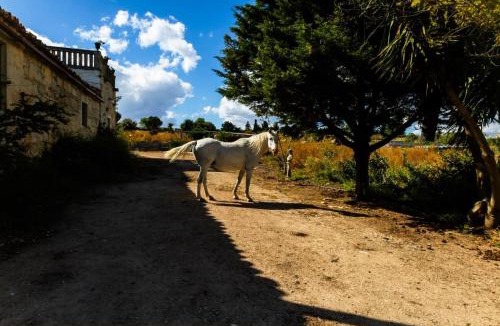 Ragusa Villa | Villa Castiglione 1863 - The real Sicilian holiday