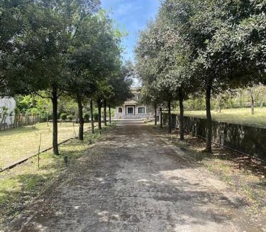 Viagrande Villa | Villa Caterina, alle pendici del Vulcano Etna