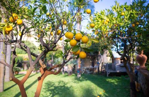 Cefalu Apartment | Villa Caterina - Solemar Sicilia