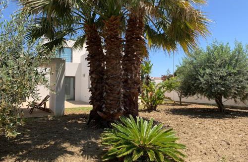 Contrada Fiori Sud Villa | Villa Cocus