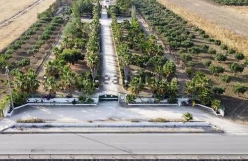 Mockarta House | Villa delle Palme Delfina - parking Piscina a 10 minuti dal centro e dal mare