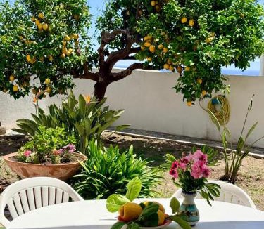 Sant'Angelo Apartment | Villa Egidio giardino