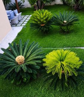 Favignana Apartment | Villa Favignana