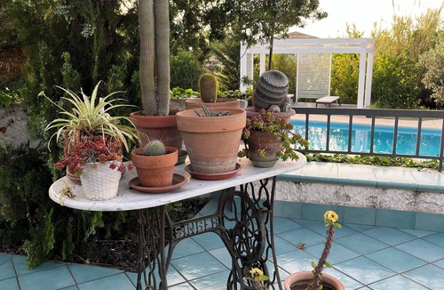 Partinico Villa | VILLA GREEN - villa with pool Sicily