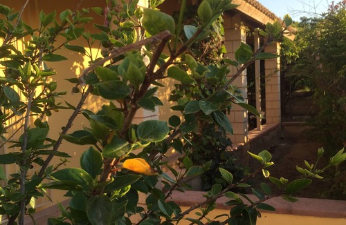 Noto Villa | Villa in Balata, Noto Marina