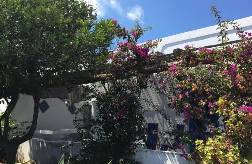 Panarea Apartment | Villa in Panarea - Nespolo