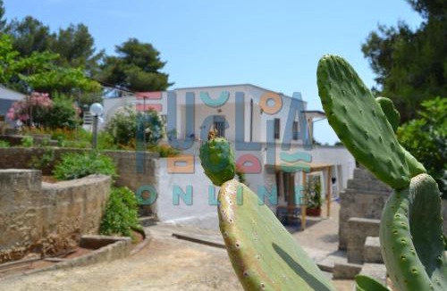 Torre Vado Apartment | Villa Li Curiosi Puglia on line