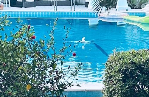 Terrasini Villa | Villa lo Iacono