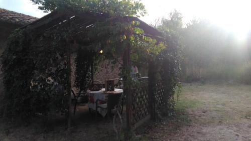 Montepulciano House | Villa Lorena