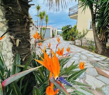 Cleto Bed & Breakfast | Villa Marina B&B