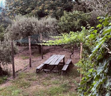 Zafferana Etnea House | Villa Milone Etna Country House