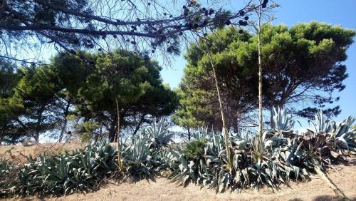 Siculiana Apartment | Villa Miramare - Giallonardo, Realmonte