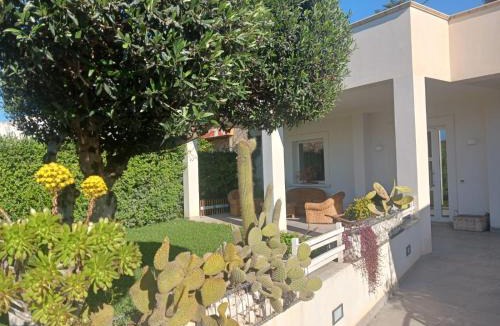Marsala House | Villa Ninà- Kitesurf
