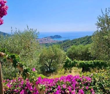 San Bernardo Villa | Villa Onde e Ulivi