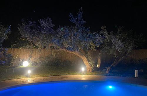 Terrasini Villa | Villa Otto Ulivi con Piscina Privata