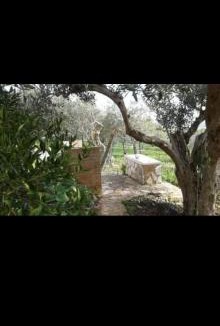 Castellammare del Golfo Villa | villa principe
