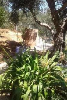 Castellammare del Golfo Villa | villa principe