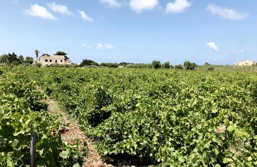Marsala House | Villa Salinara