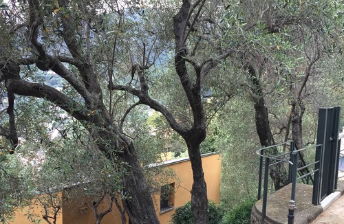 Bonassola Villa | Villa-Superior-Private Bathroom-Sea View-CasAmar