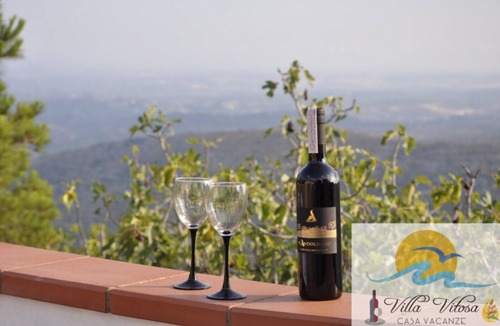 Chiusa Cavalli Villa | Villa Vitosa - Holiday Home Laghetti di Cavagrande
